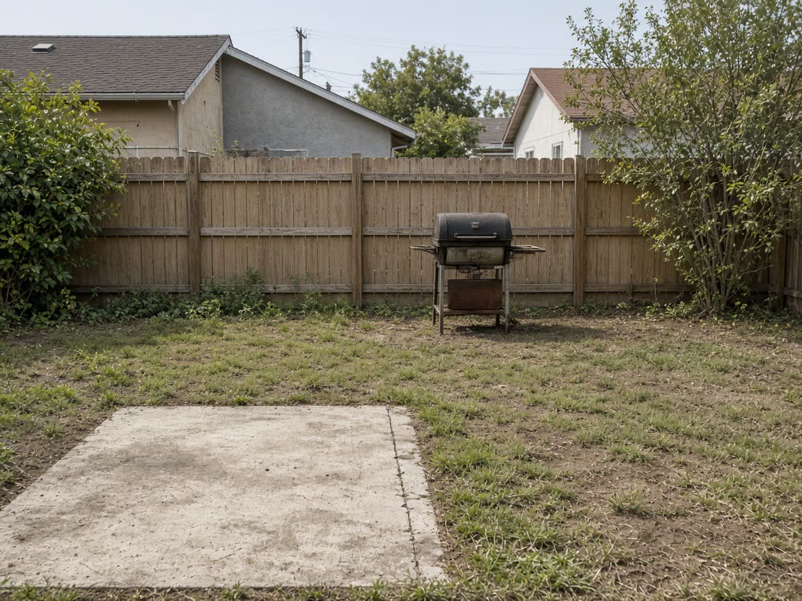 Plain backyard before